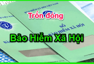 Quy định xử lý hình sự đối với tội trốn đóng BH Xã Hội
