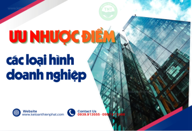 Ưu Và Nhược Điểm Của Loại Hình Công Ty TNHH tại Viêt Nam bạn cần biết ? 