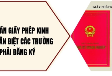 Dịch vụ thay đổi Giấy Phép Đăng Ký Kinh Doanh uy tín trọn gói tại Hồ Chí Minh